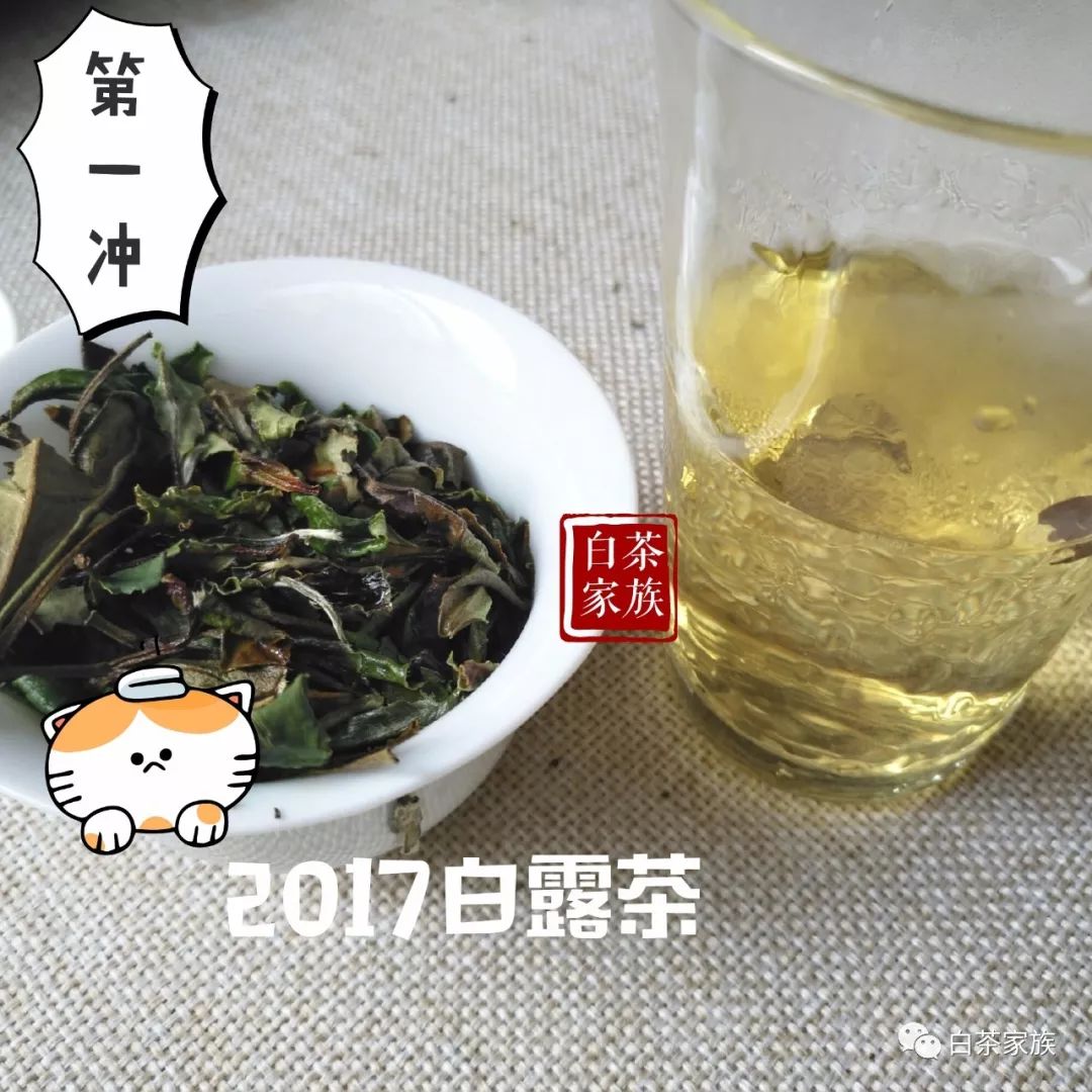 春寿眉的茶汤里面有不少的白毫呢,在茶汤里面飘动的样子像是一场花瓣