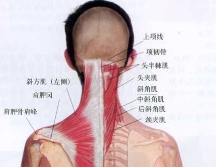 颈椎病针灸部位