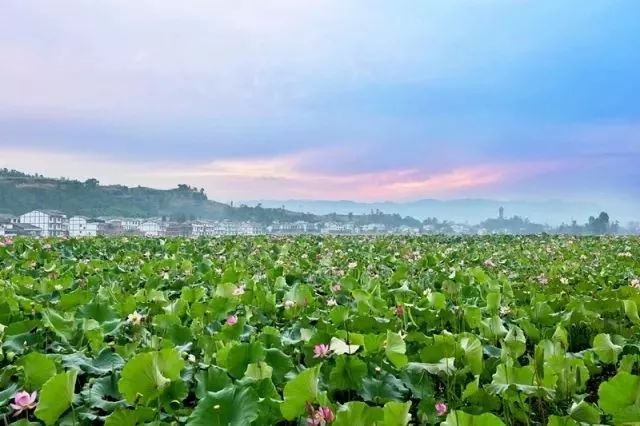 达州这些乡村旅游点要火了,看看有没有你家乡?