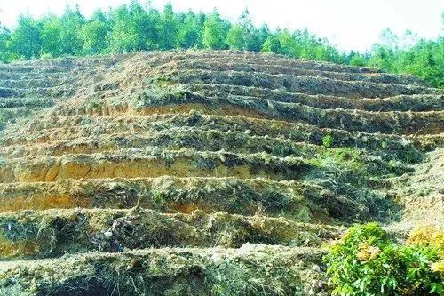 国家级水土流失重点预防区和重点治理区