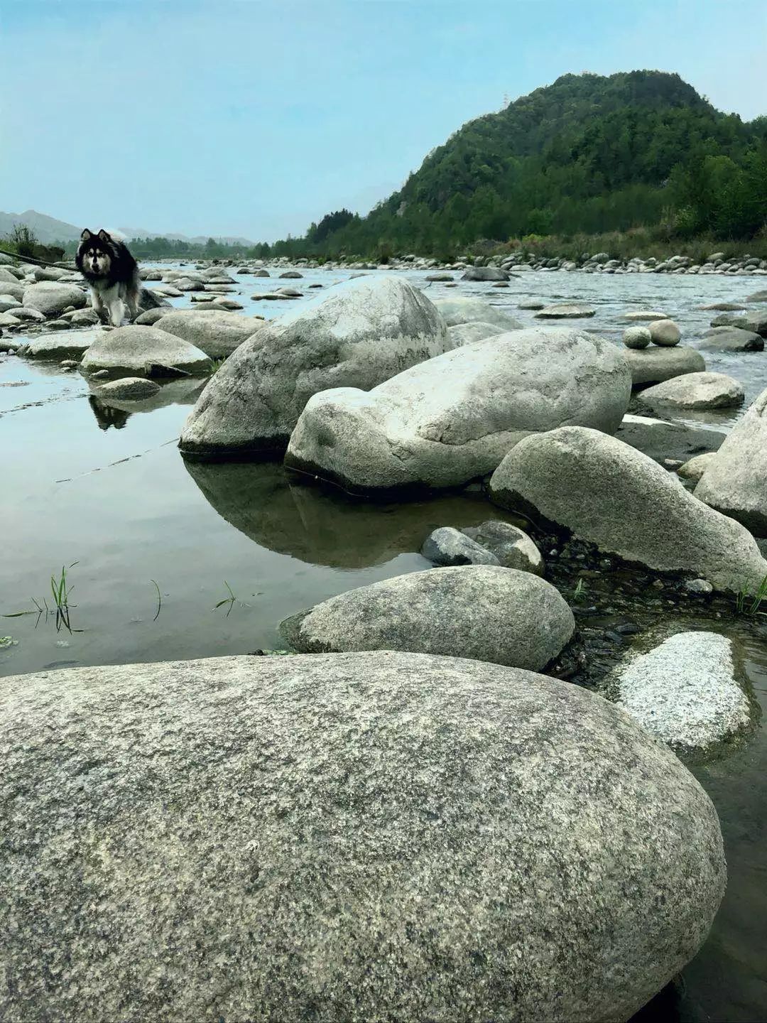 丹景山人口_丹景山观景台(3)