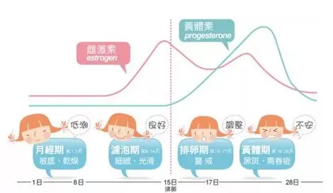 展开全文 而姨妈走了以后,随着雌激素和孕激素的分泌上升,皮肤细腻度