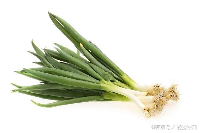 小葱:其根白,茎青,叶绿,生吃有甜味,一般是4月份上市;改良葱:是用秋末