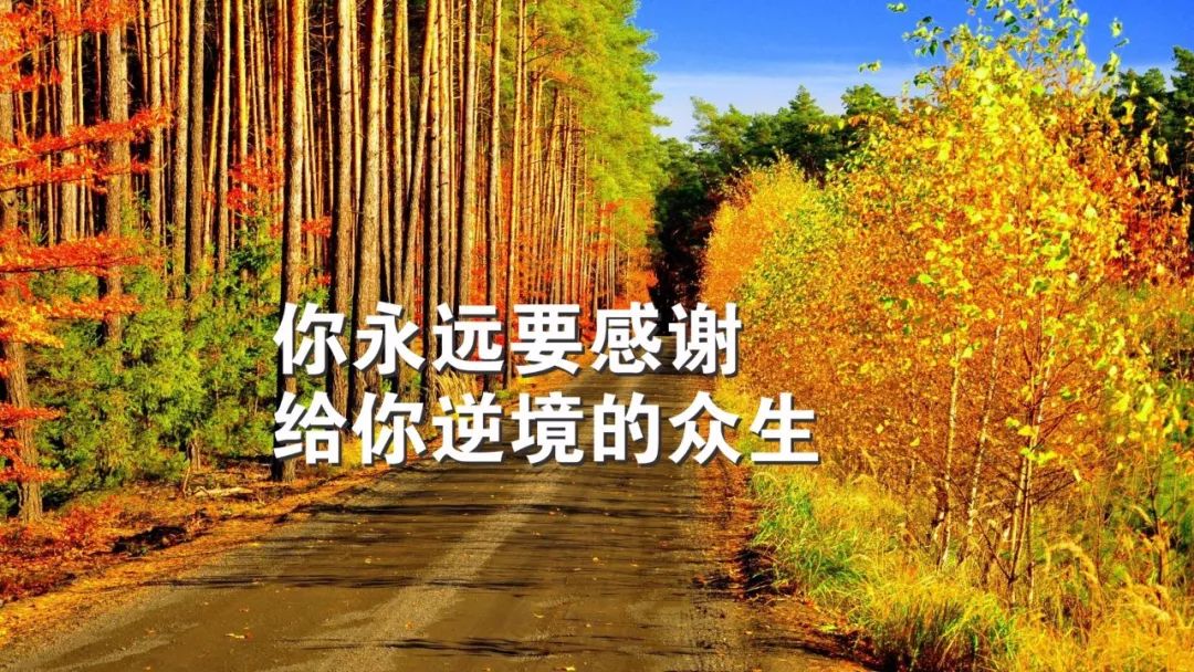 面对阳光努力向上,阳光励志早安语录