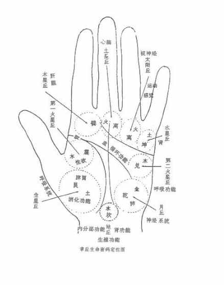 第二火星丘的手相解析