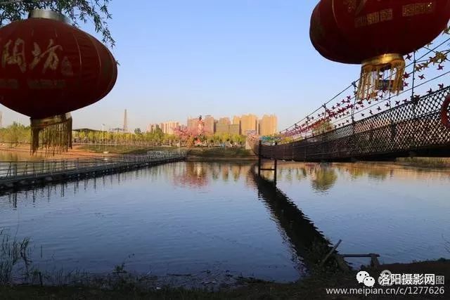 洛阳洛河边的美景,洛神岛风光旖旎,桃花岛花开正艳