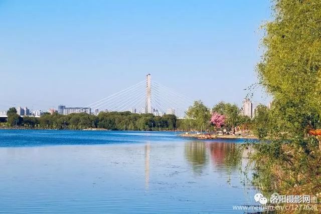 洛阳洛河边的美景,洛神岛风光旖旎,桃花岛花开正艳