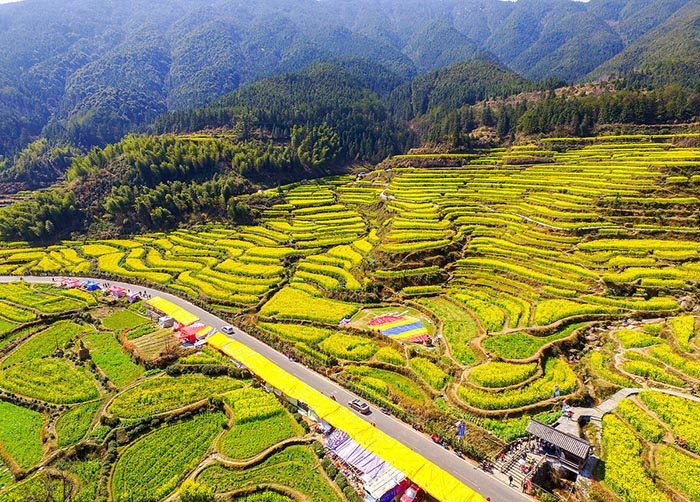 篁岭旅游并不受季节影响,春天可以观油菜花海,夏天可以戏峡谷溯溪