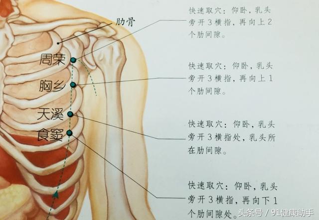 本穴虽属脾经穴位,但脾经气血因胸乡