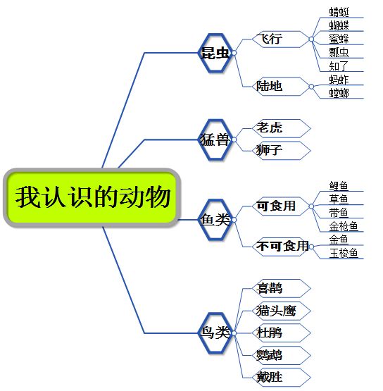 如何教会孩子制作小学思维导图?