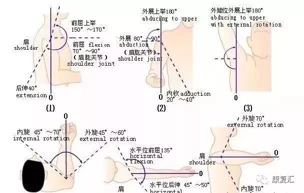 量诊:包括内收,外展, 前屈,后伸,内旋,外旋