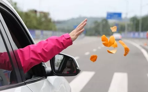 经常开车在路上,遇到一私家车里的孩子竟然手伸出车窗抛洒了一大把碎