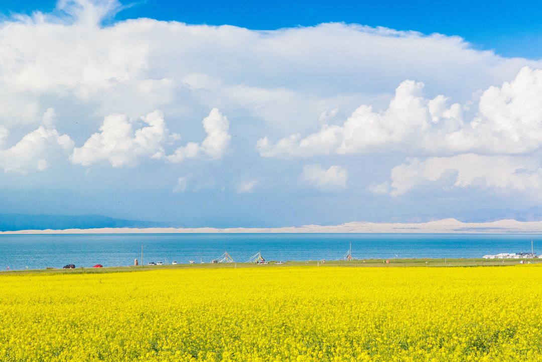 青海湖的不同的季节里,景色迥然不同. 青海湖畔