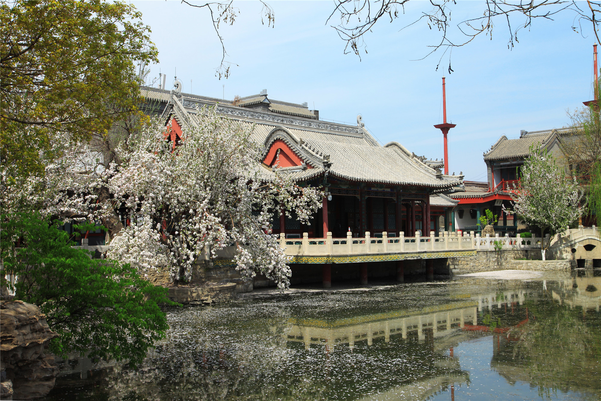 春天正是赏花时 漫步保定古莲花池