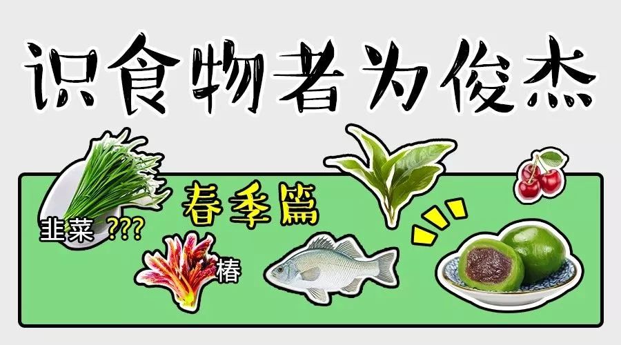 识食物者为俊杰 · 春季篇