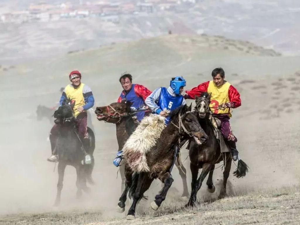 马背上的肉苁蓉——非遗哈萨克族医药科学文化 - 知乎