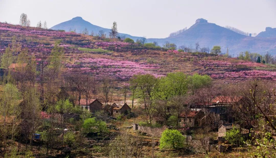 【乡村旅游】春至尹家峪,我多想让春天在此长留