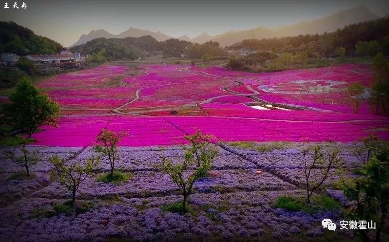 头条| 新华社:至美秘境!霍山船仓花海又一次俘获无数灵魂