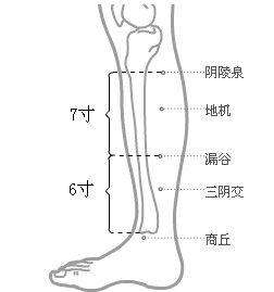 扁桃体发炎牙疼怎么办