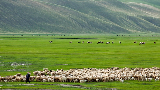 内蒙古呼伦贝尔大草原五条旅游线路，看看有你喜欢的吗?