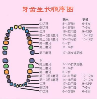 儿童的牙齿歪了怎么办