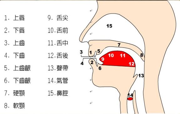 艺考生考前发声短路嗓音专家助他上线重点本科