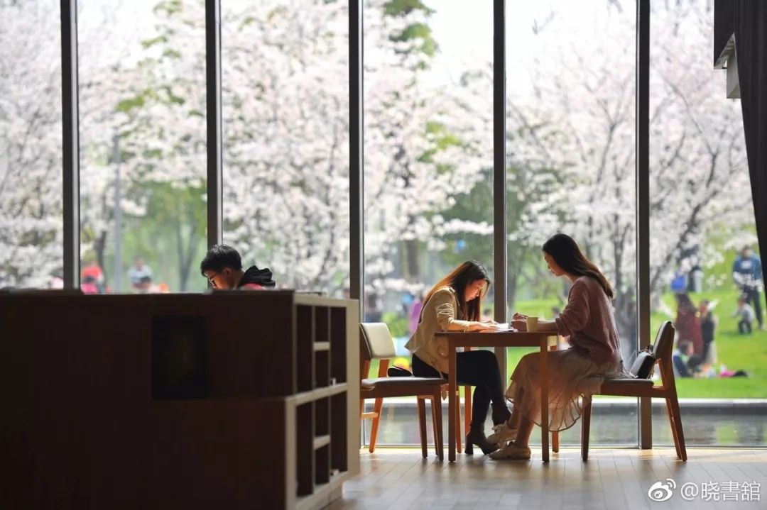 高晓松在杭州开图书馆,安藤忠雄的设计,美炸天