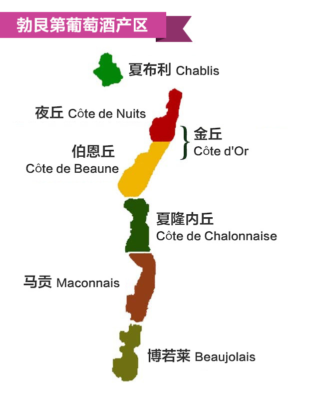 nuits,伯恩丘(cte de beaune(两产区合称为金丘cote d or)夏隆内丘