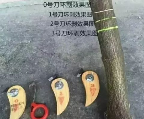 环割刀具选择