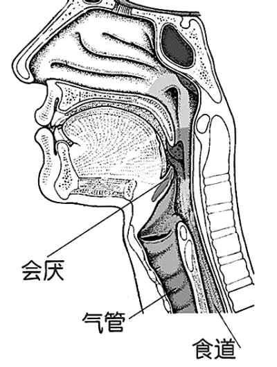 没想到"急性会厌炎"让他命悬一线