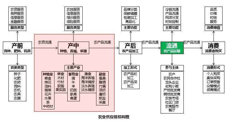 农业供应链结构图(来源:王禹)