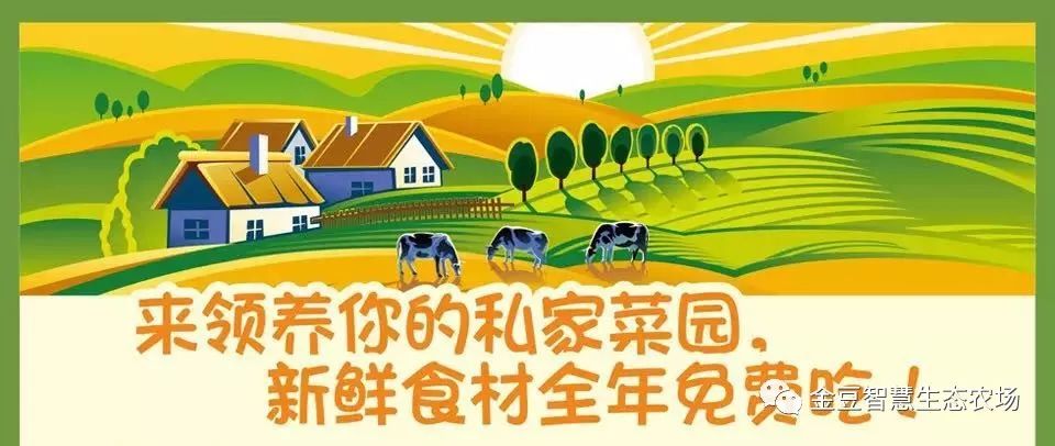 【缤纷假日】来这里!火爆共享菜地,农场主正式招募啦!