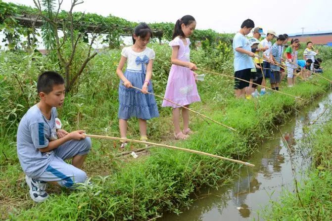 武穴人的童年趣事——钓龙虾!