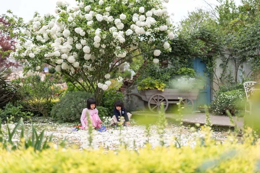 海蒂的花园·四川成都 " 草在结它的种子 风在摇它的叶子 我们站着