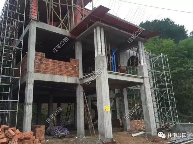 湖南农村180万自建轻奢别墅, 专业队伍成就独一无二之