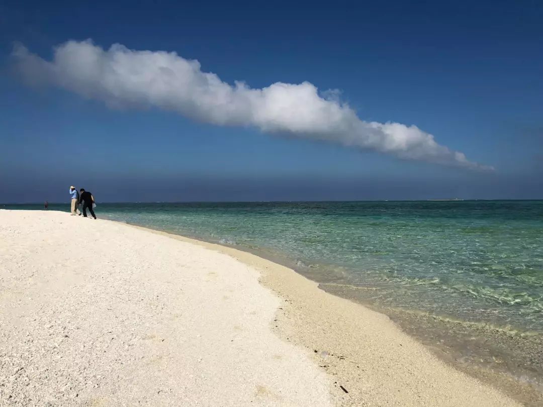 海南三沙经济总量_海南三沙烟1000元一条(2)