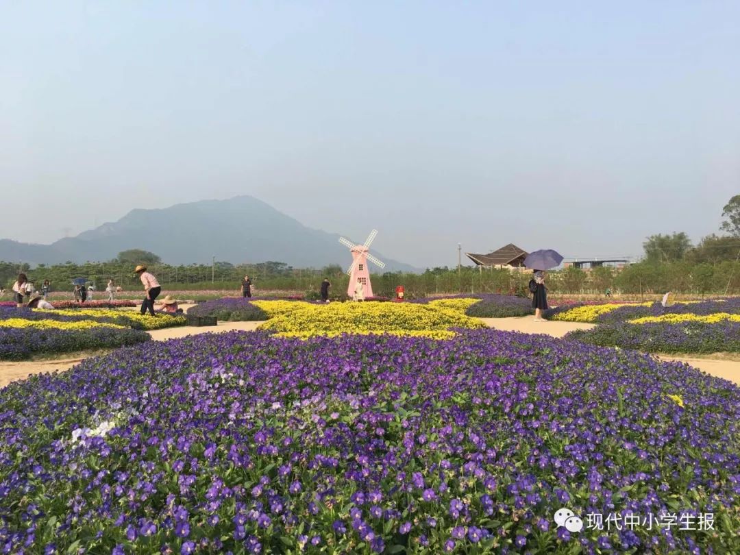 花卉小镇农夫庄园位于清远市清城区东城街道清高公路金鸡岩往高田方向