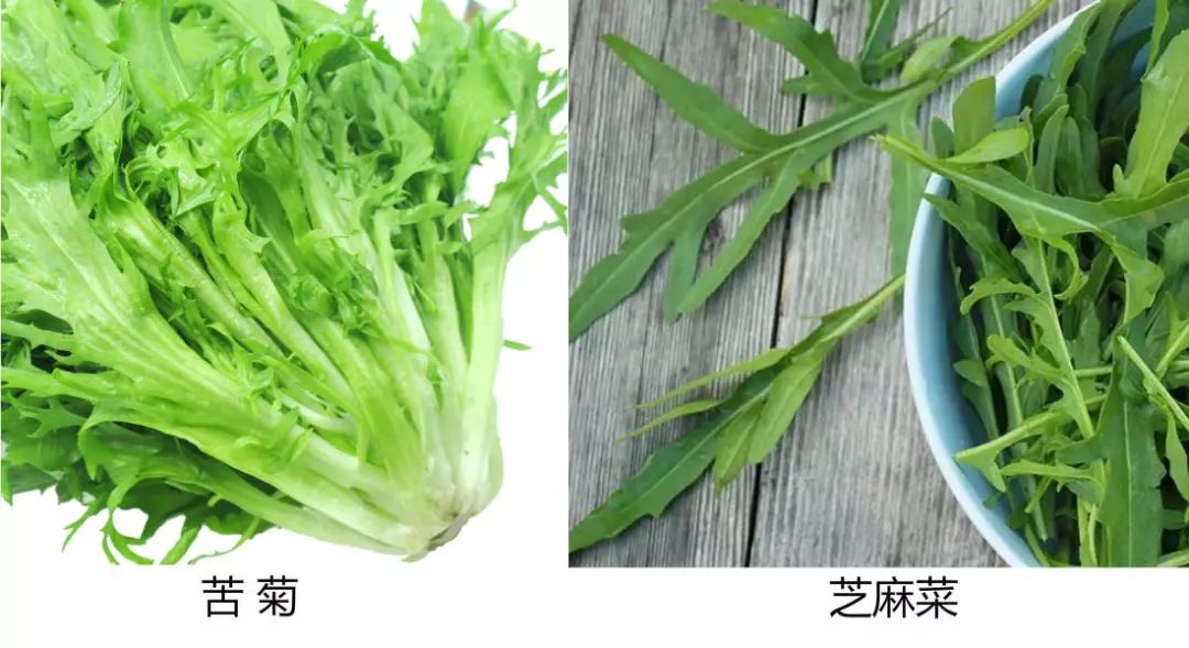 67从田间野菜到网红怪蔬是时候认识一下苦辣辣的芝麻菜了