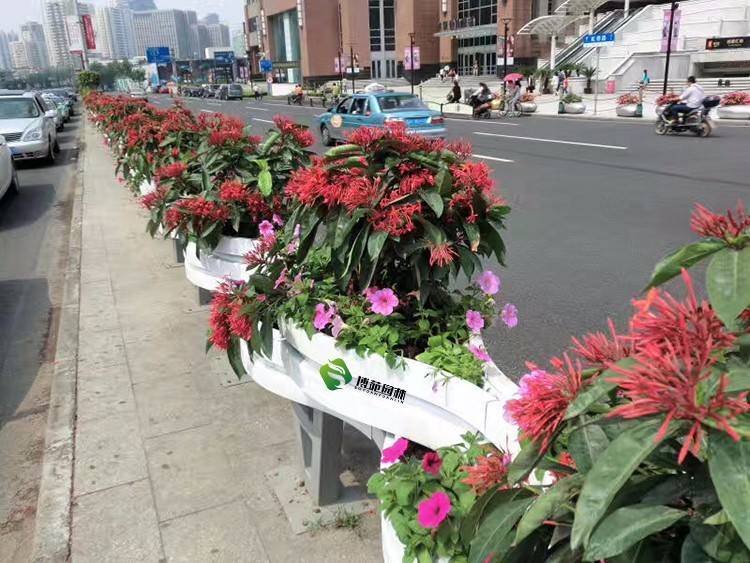 城市道路花箱的绿化植物应该如何配置