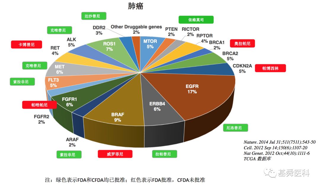 化疗gdp_重磅 奥拉帕利在国内获批卵巢癌一线维持治疗