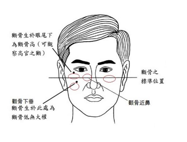 颧骨是哪里