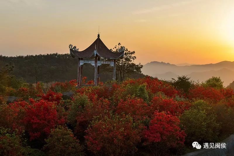 每年"五一"至"六一"期间 第二站:马岚山 马岚山位于大湖乡后井村,为