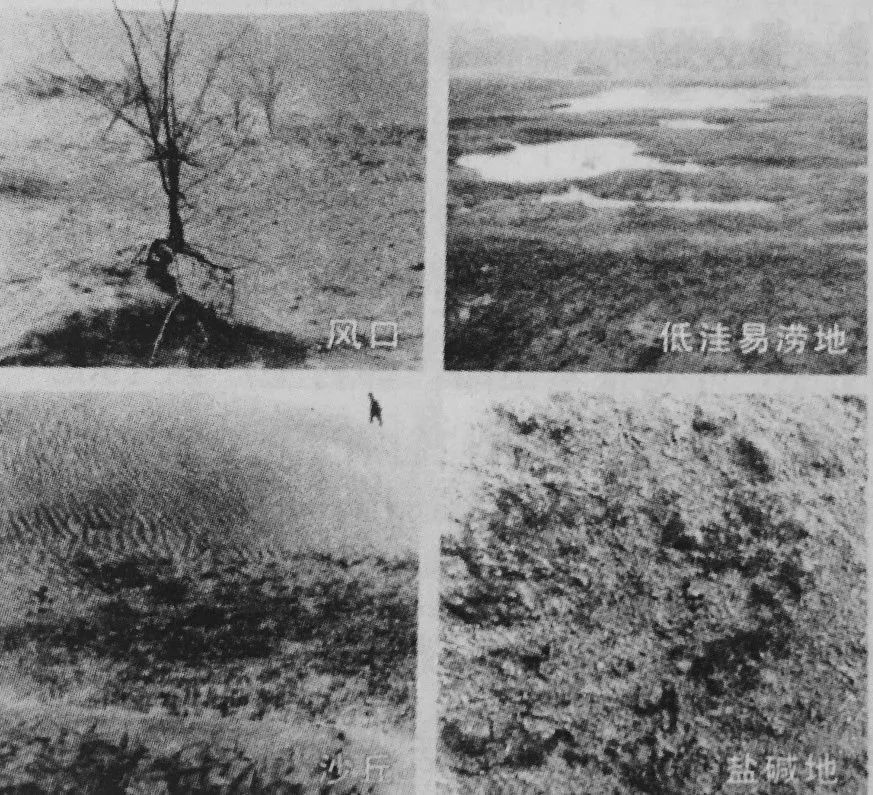 历史 正文  1962年,严重的自然灾害侵袭了河南兰考县,从这一年开春