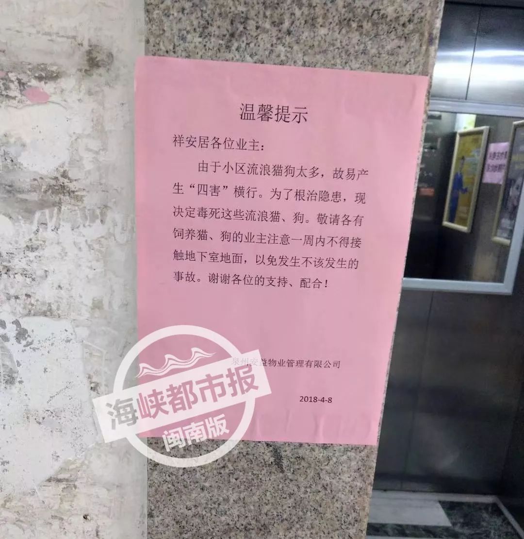 这提示温馨泉州一小区物业贴告示要毒杀流浪猫狗