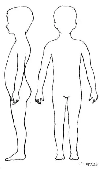 体形特征 男女的体形差异产生; 男孩胸部变厚,肩部变宽; 肩胛骨突出