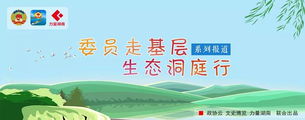 养猪衍生“生物天然气+沼肥”，洞庭湖需要“生态＋经济”致富经 | 头条