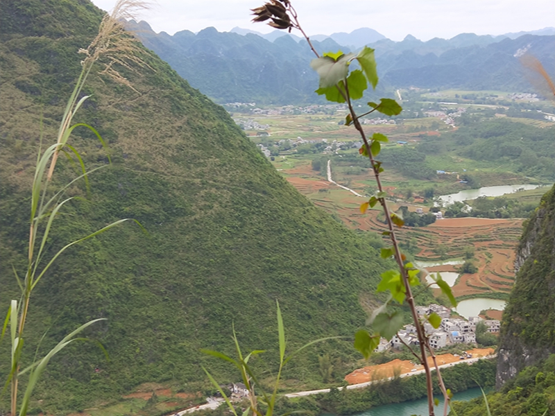 广西小山区山美水美好风光农村焕发新面貌