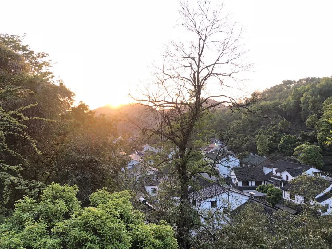 翁家山村,便在眼前了.