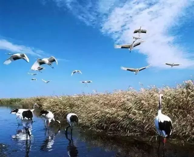 盐城·12个免费景点