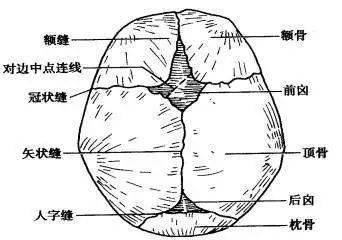 母婴 正文  d,胎头拨露阴唇后联合紧张时 e,胎头开始着冠时 答案:d